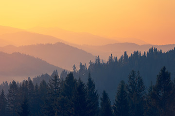 杭州科技馆科学训练营怎么样