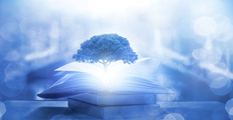 生僻唯美的花名大全