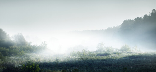 跟花有关的英文名