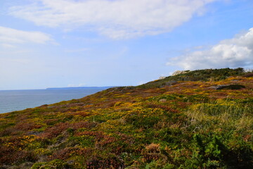 中医食疗常识里的四气和五味是指什么？