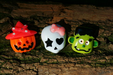 生僻唯美的花名大全