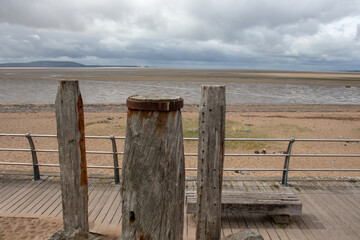 全国科技活动周低碳科普知识竞赛题(小学组)