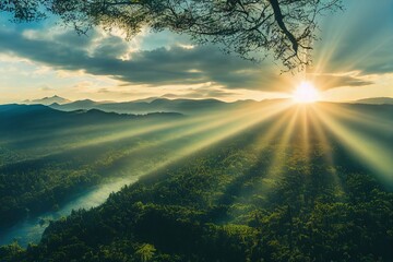 生僻唯美的花名大全