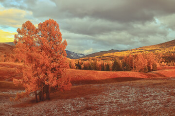 中医食疗常识里的四气和五味是指什么？