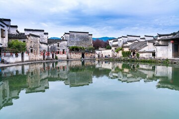 生僻唯美的花名大全