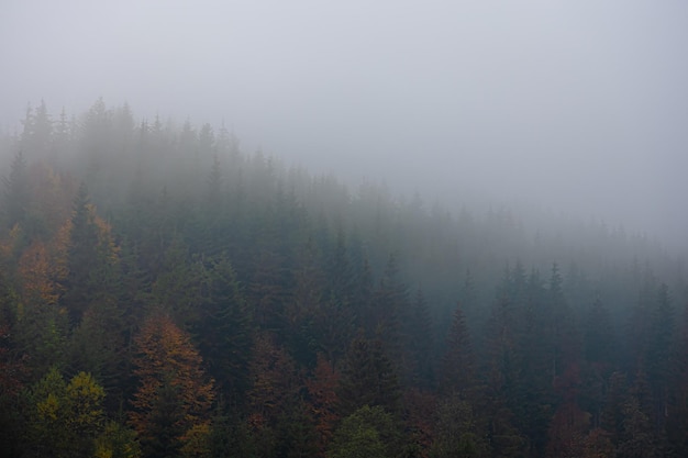全国科技活动周低碳科普知识竞赛题(小学组)