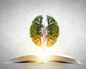 字谜.接音的古诗 歇后语 对联 笑话.和汉字的历史