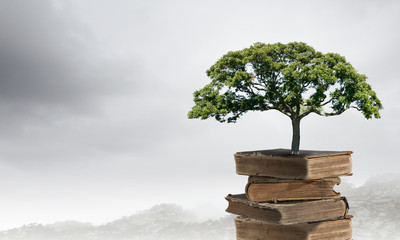 幼儿园体育教育活动设计教案