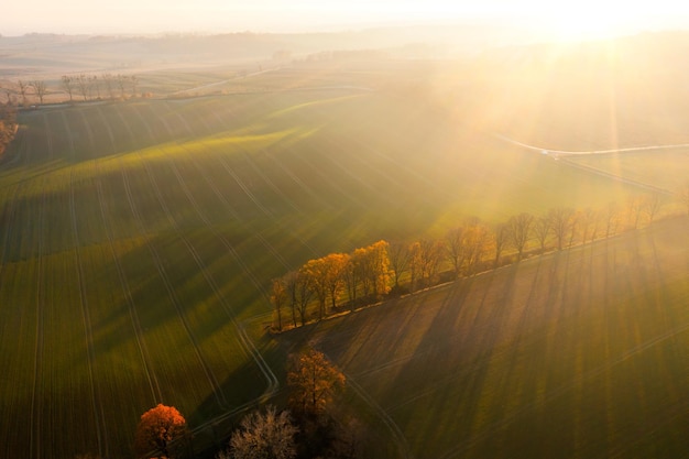 跟花有关的英文名