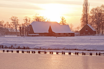 生僻唯美的花名大全