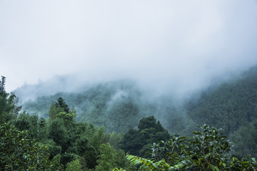 经济学十部经典著作是什么？
